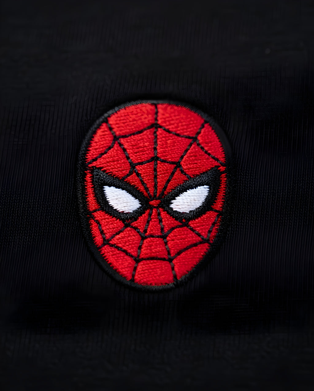 Midnight Spider Embroidered Tee Oversized