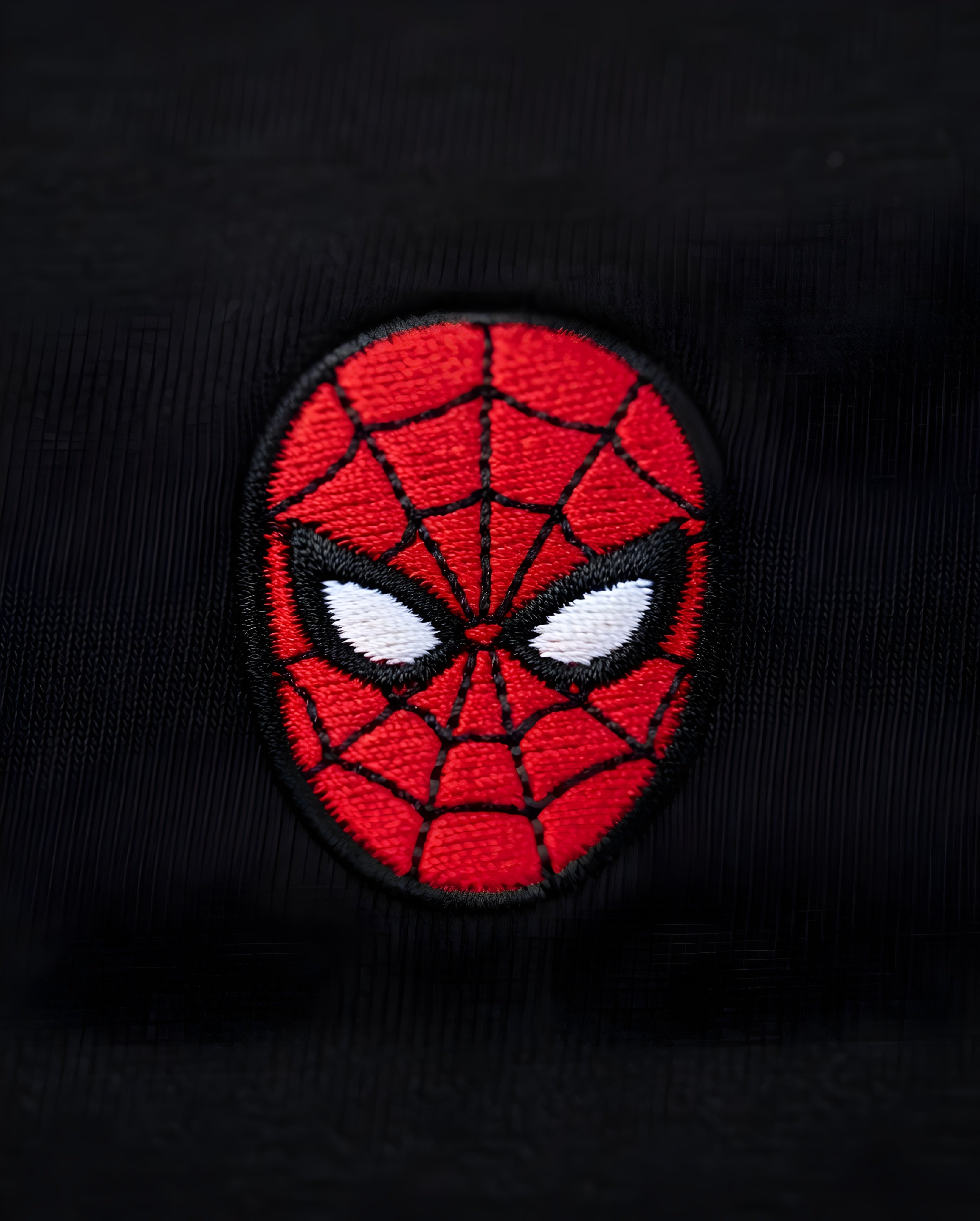 Midnight Spider Embroidered Tee Oversized